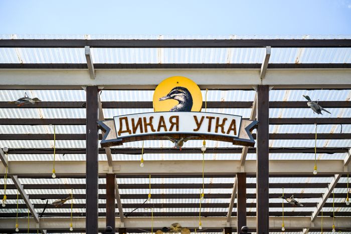 Парк-отель «Орловский» в Ленинском округе