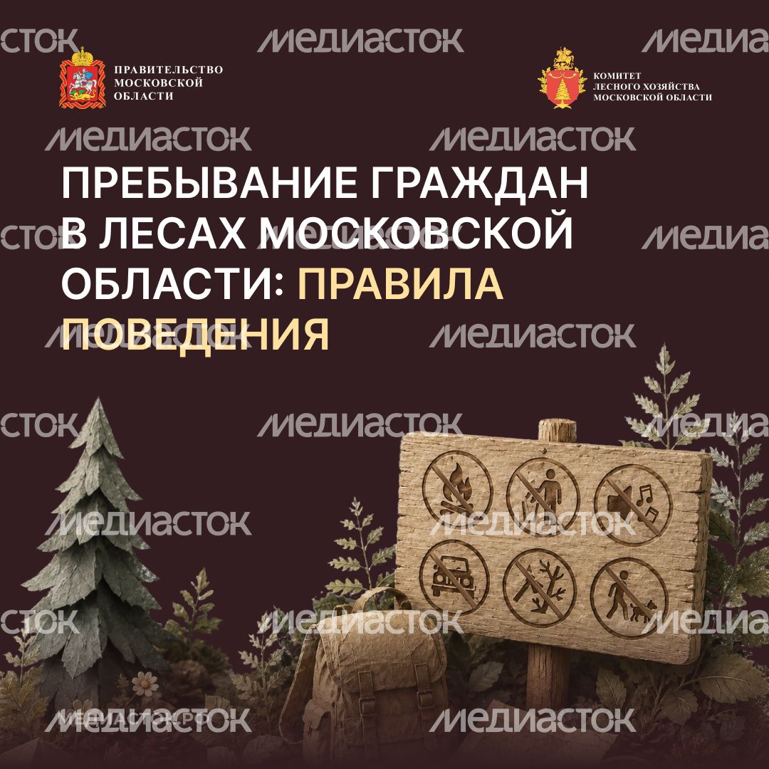 Пребывание граждан в лесах квадрат 01 Пребывание граждан в лесах квадрат 01