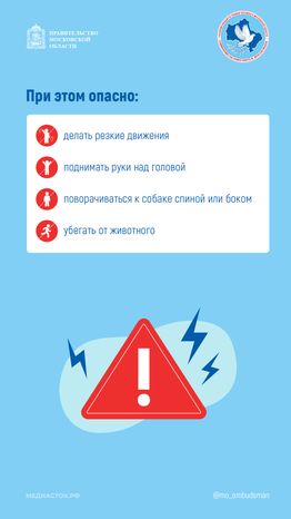 Осторожно злая собака вертикаль 04