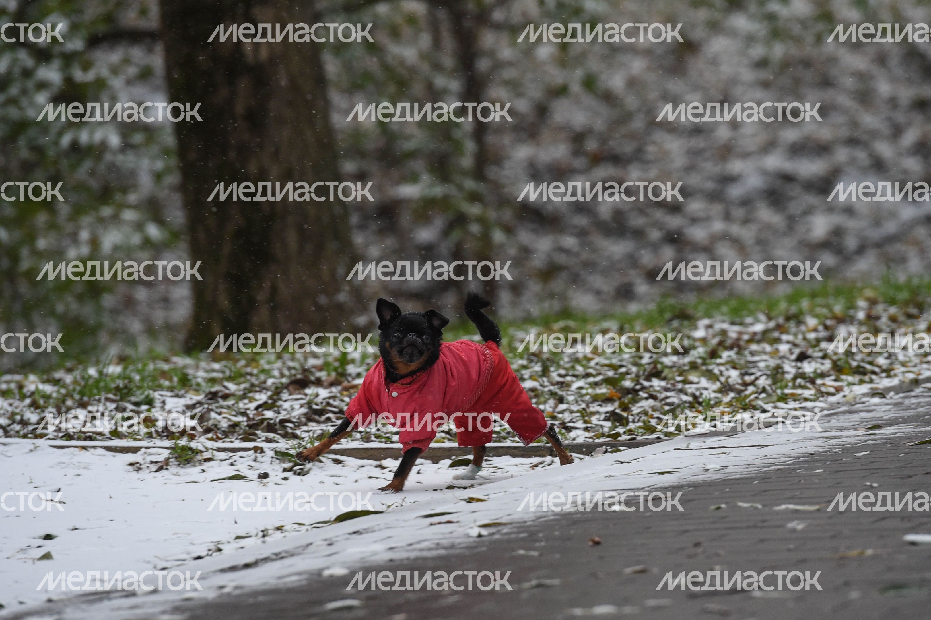 Первый снег в Москве