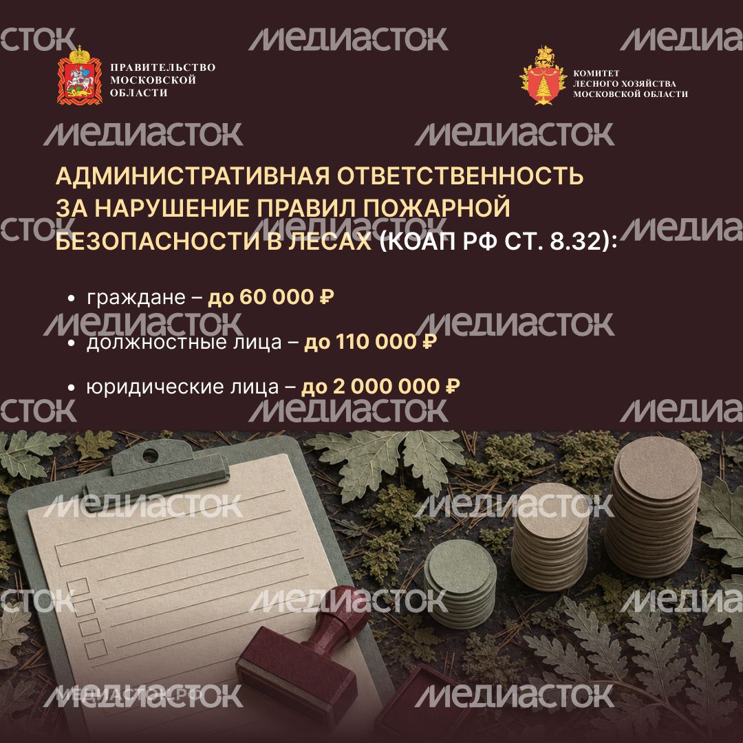 Живете рядом с лесом квадрат 05