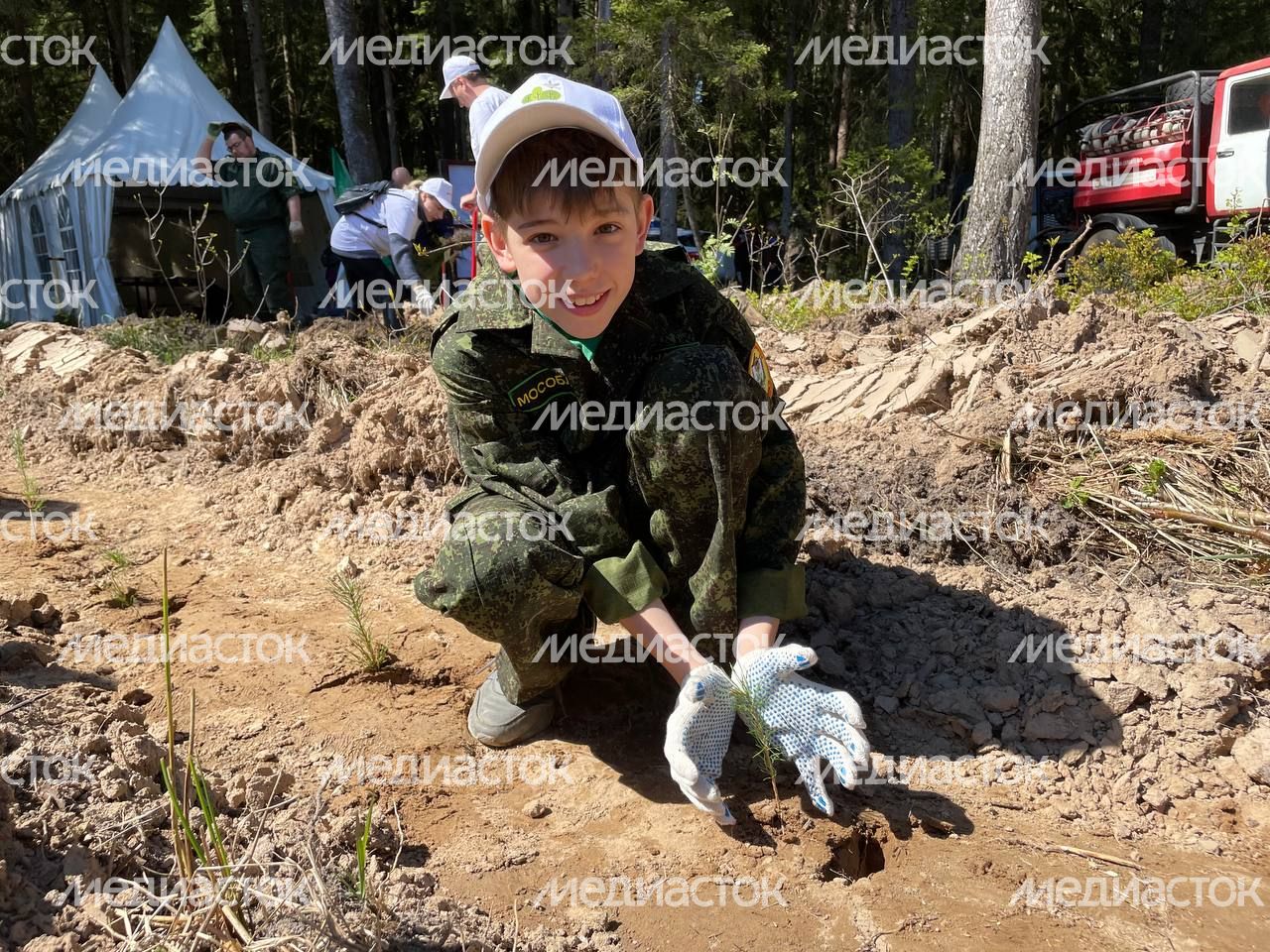 Настроение "Лес Будущего"-2024