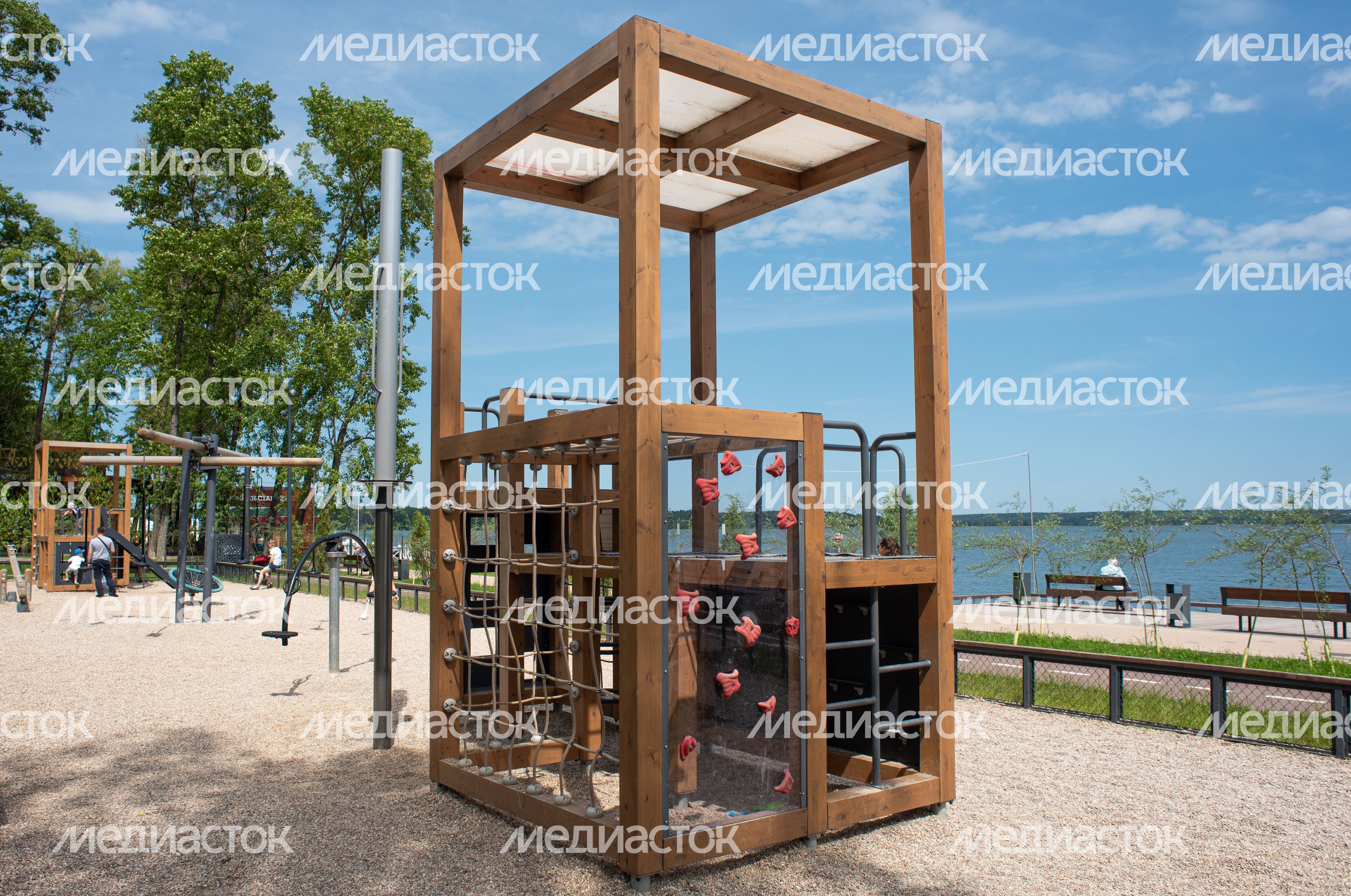 Летние виды озера Сенеж