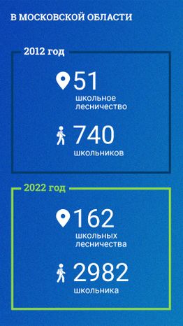 Школьные лесничества