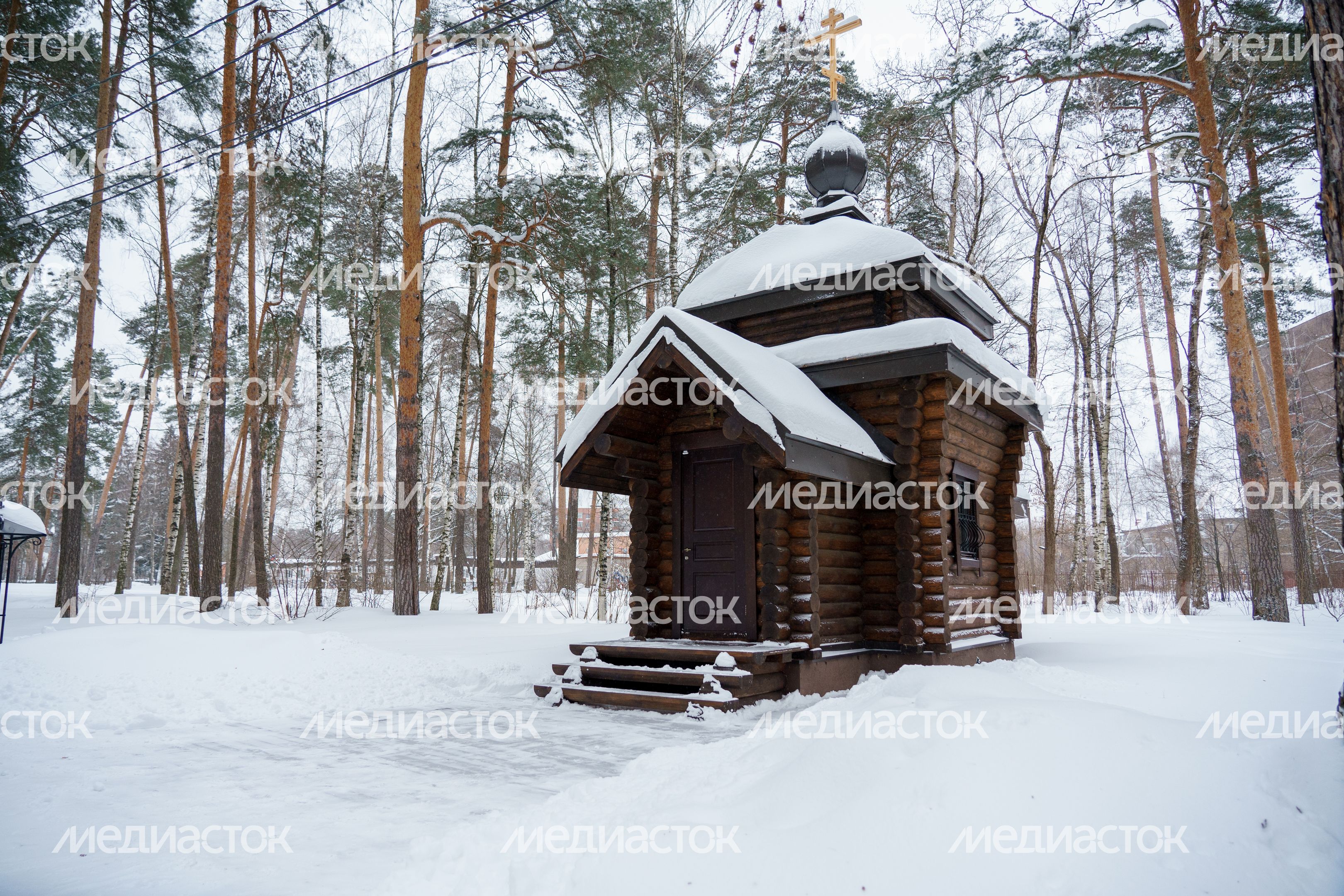 Богородский. Ногинск. Дом-музей семьи А.И. Морозова Богородский. Ногинск. Дом-музей семьи А.И. Морозова