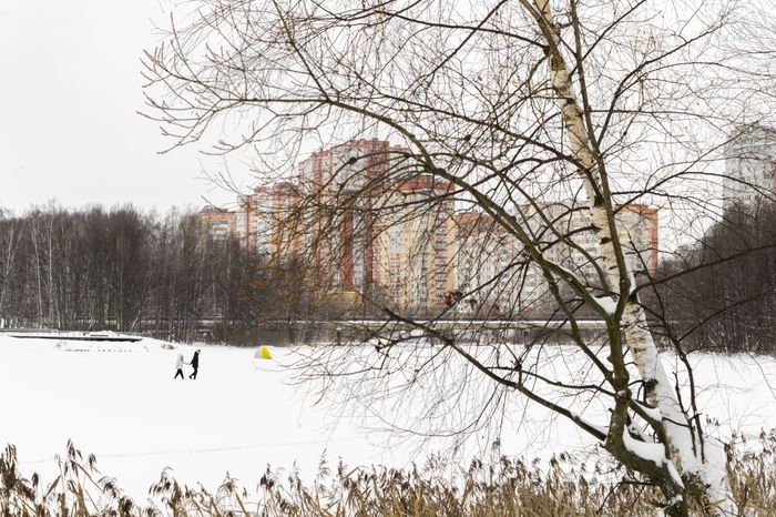 Балашиха. Парк «Заречная». Зима
