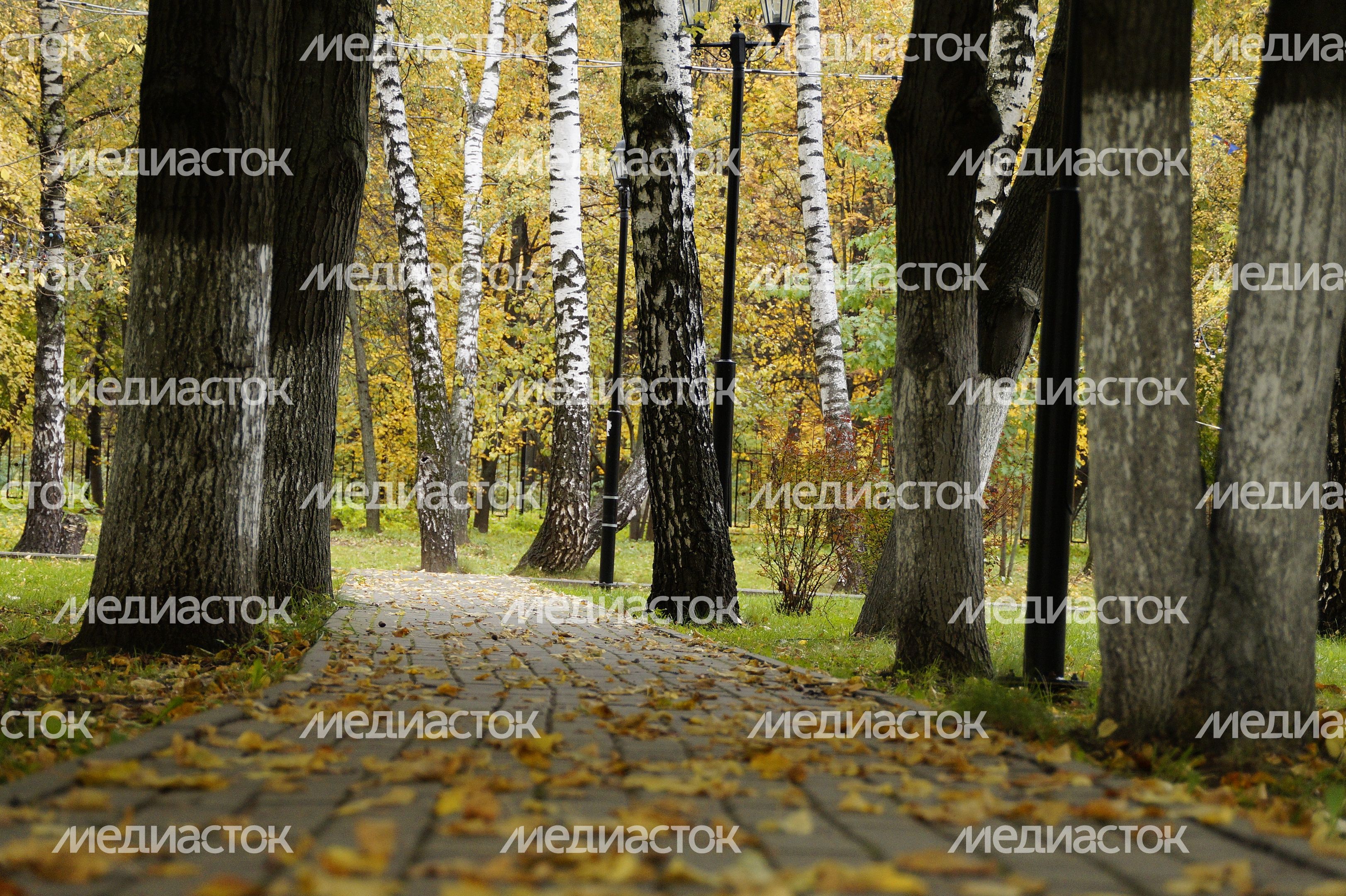 Осень в Подмосковье