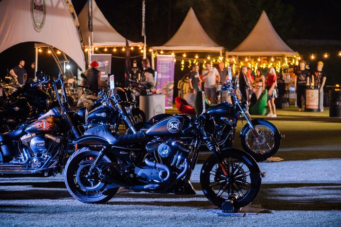 Домодедово. Фестиваль Biker Brothers Festival