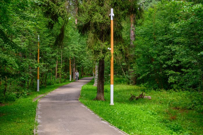 Лесопарк «Северный» в Пушкино летом