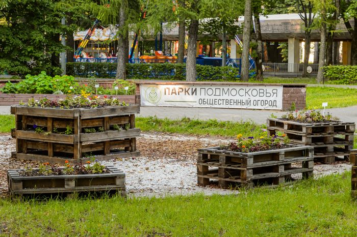 Королев. Центральный городской парк