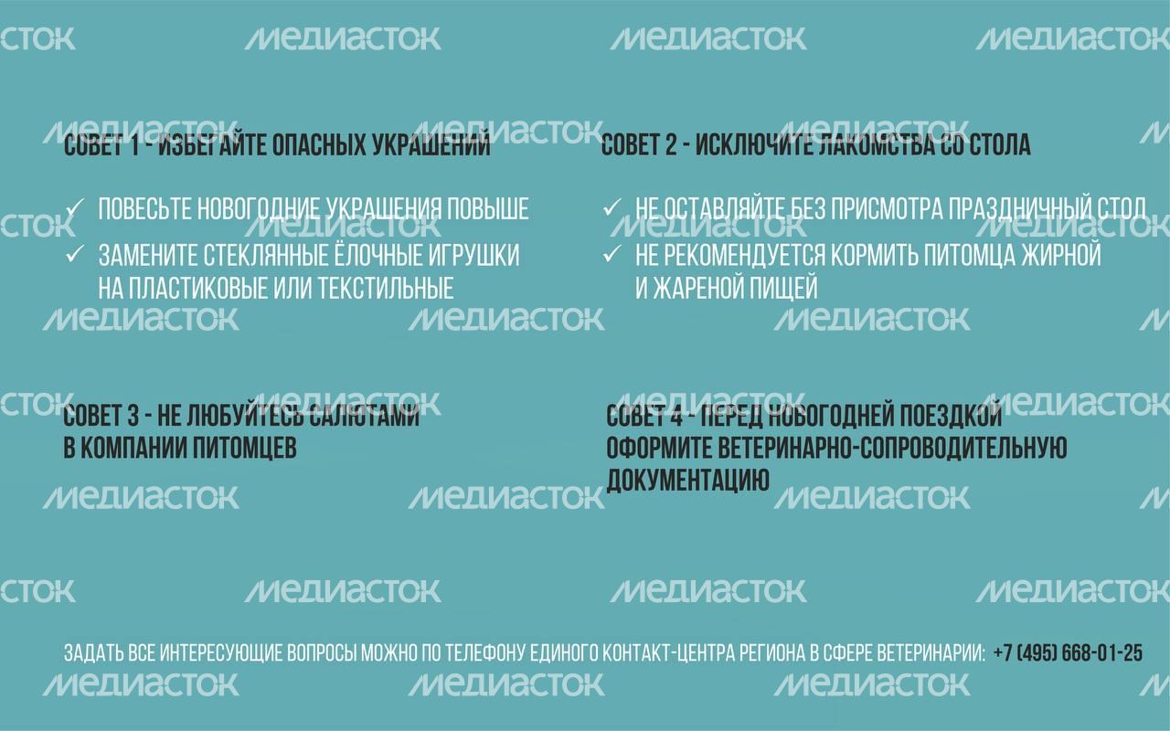 IMAGE 2023-12-29 20:17:54