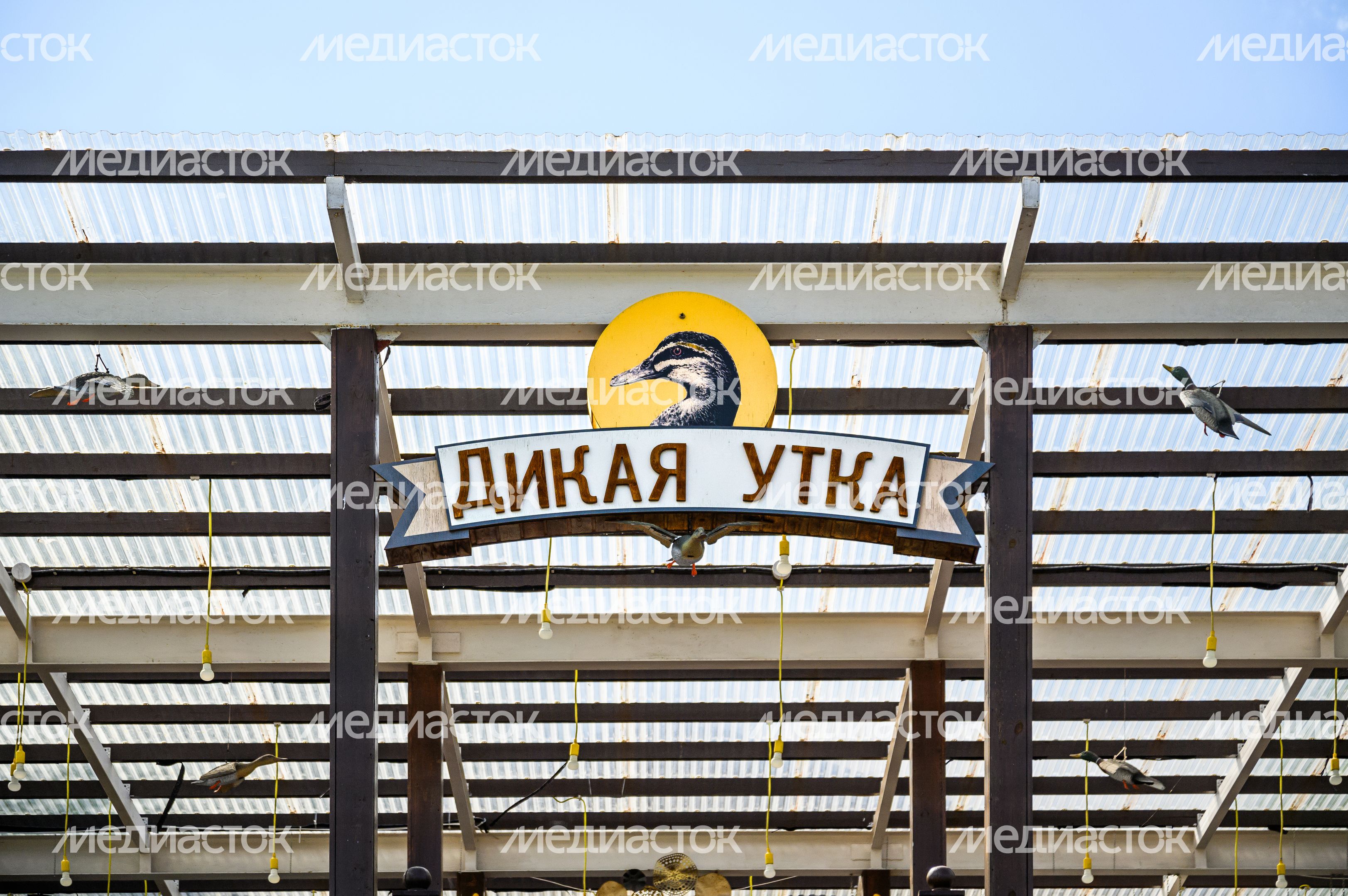 Парк-отель «Орловский» в Ленинском округе