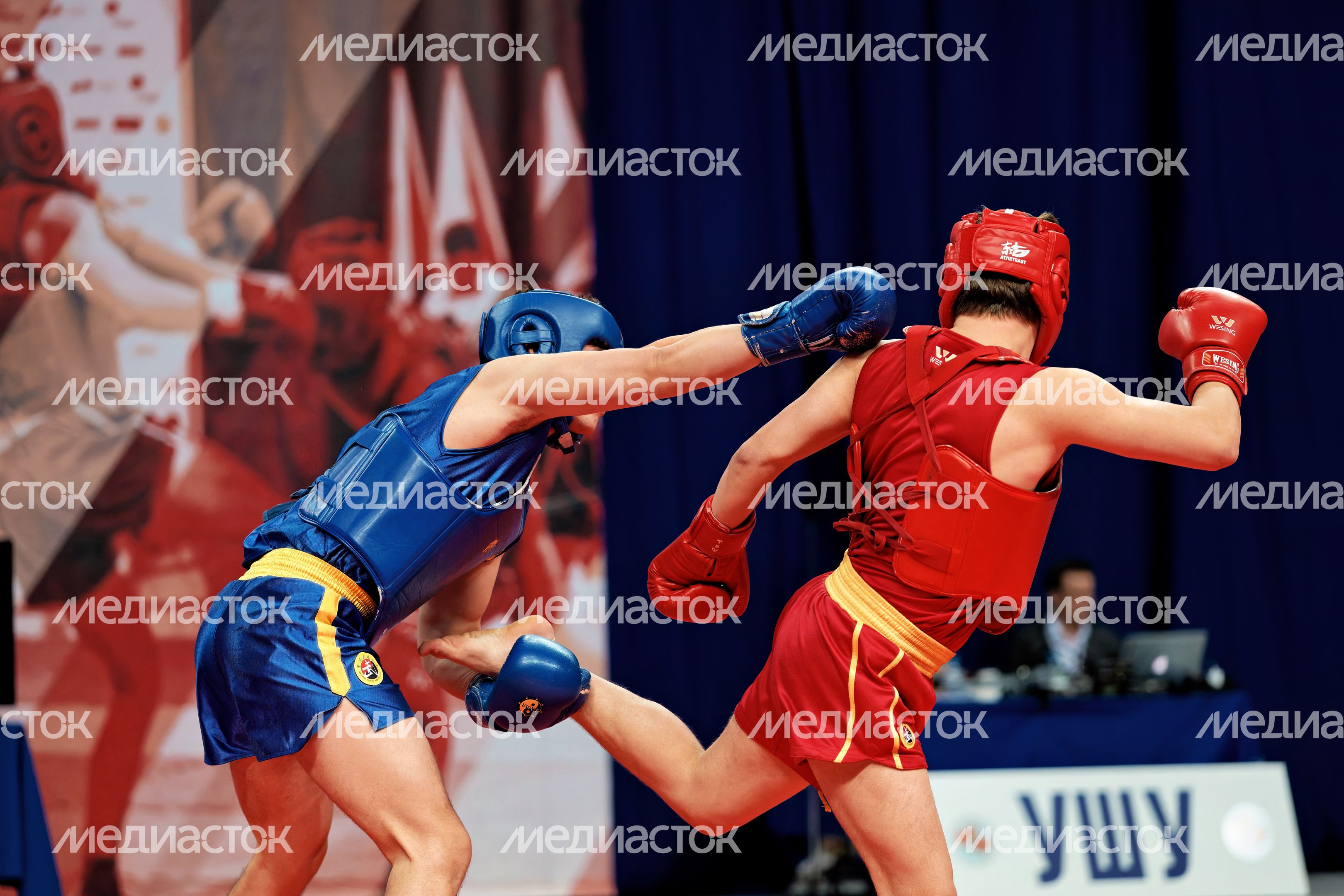 Чемпионат и Первенство Центрального федерального округа по ушу-саньда в Люберцах Чемпионат и Первенство Центрального федерального округа по ушу-саньда в Люберцах