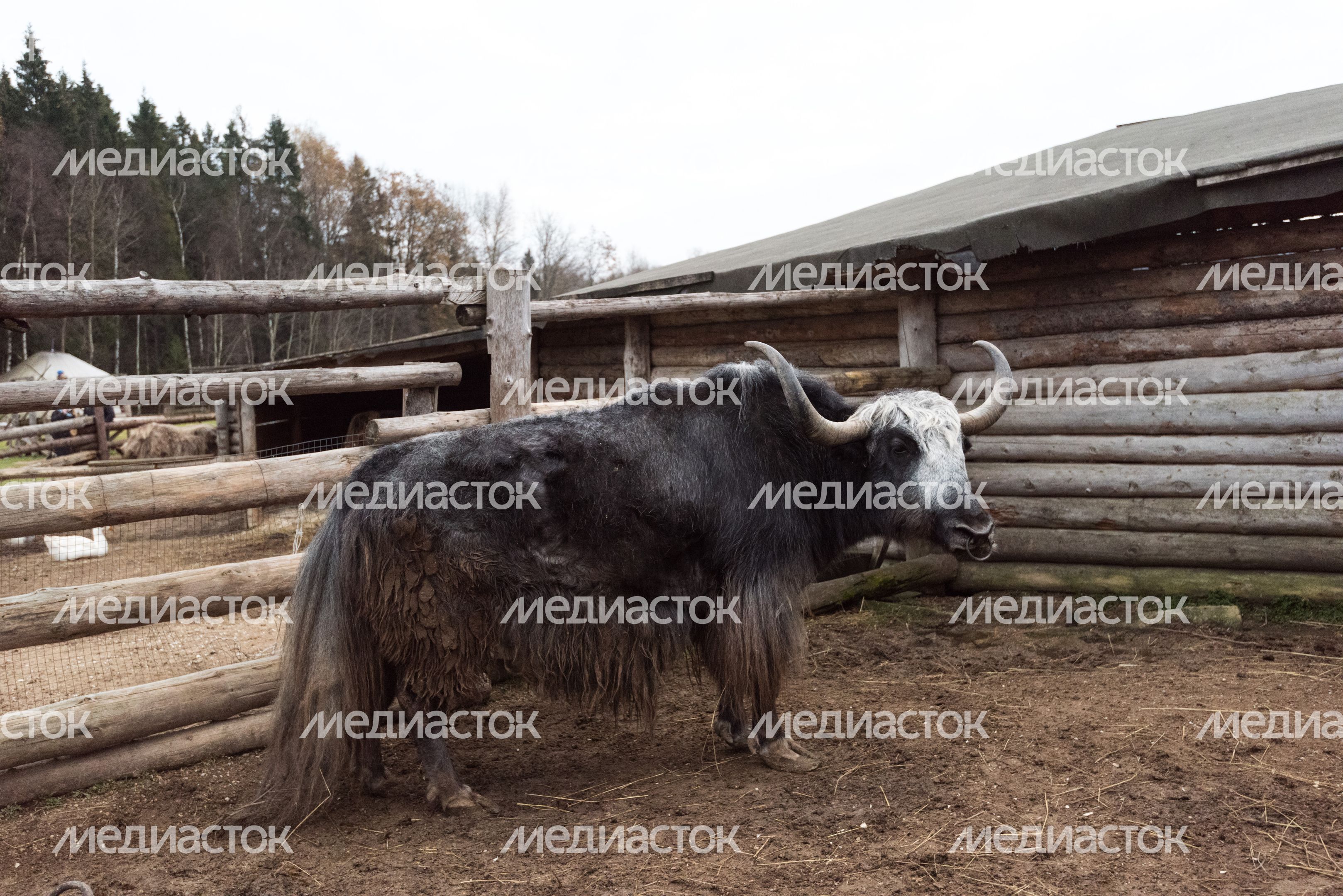 Этнопарк «Кочевник»