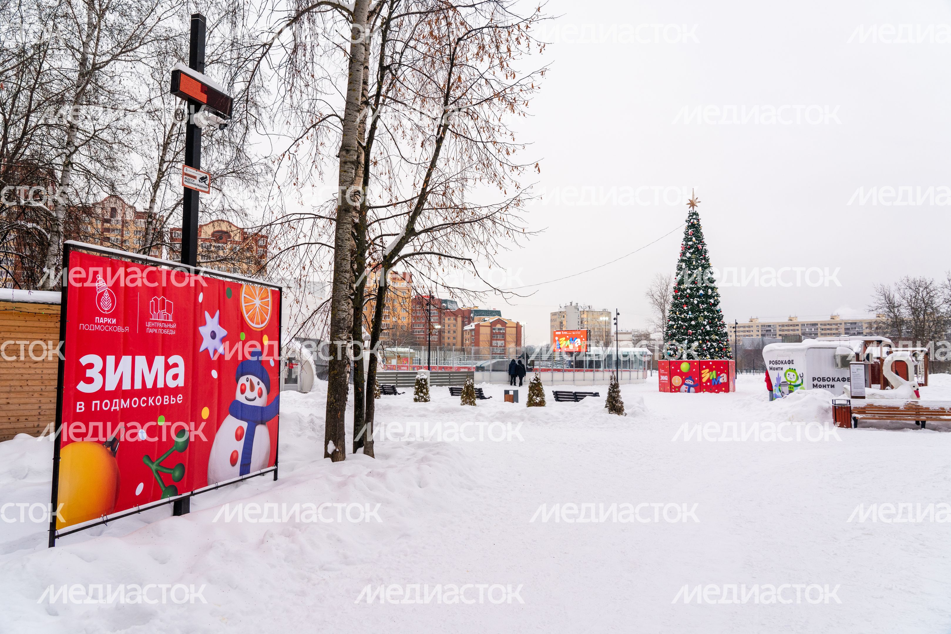 Новогодняя елка в городском парке культуры и отдыха в Долгопрудном Новогодняя елка в городском парке культуры и отдыха в Долгопрудном