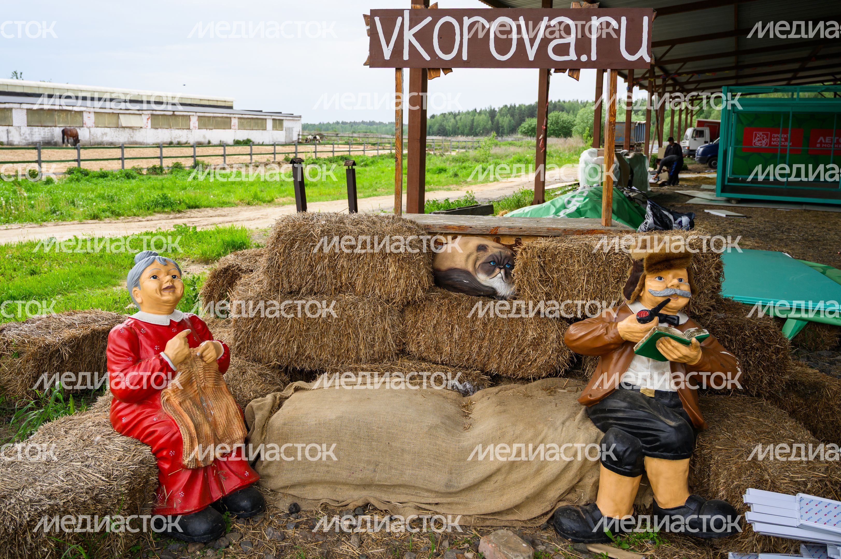 Ферма «Веселая корова» в деревне Антоново Раменского округа Ферма «Веселая корова» в деревне Антоново Раменского округа
