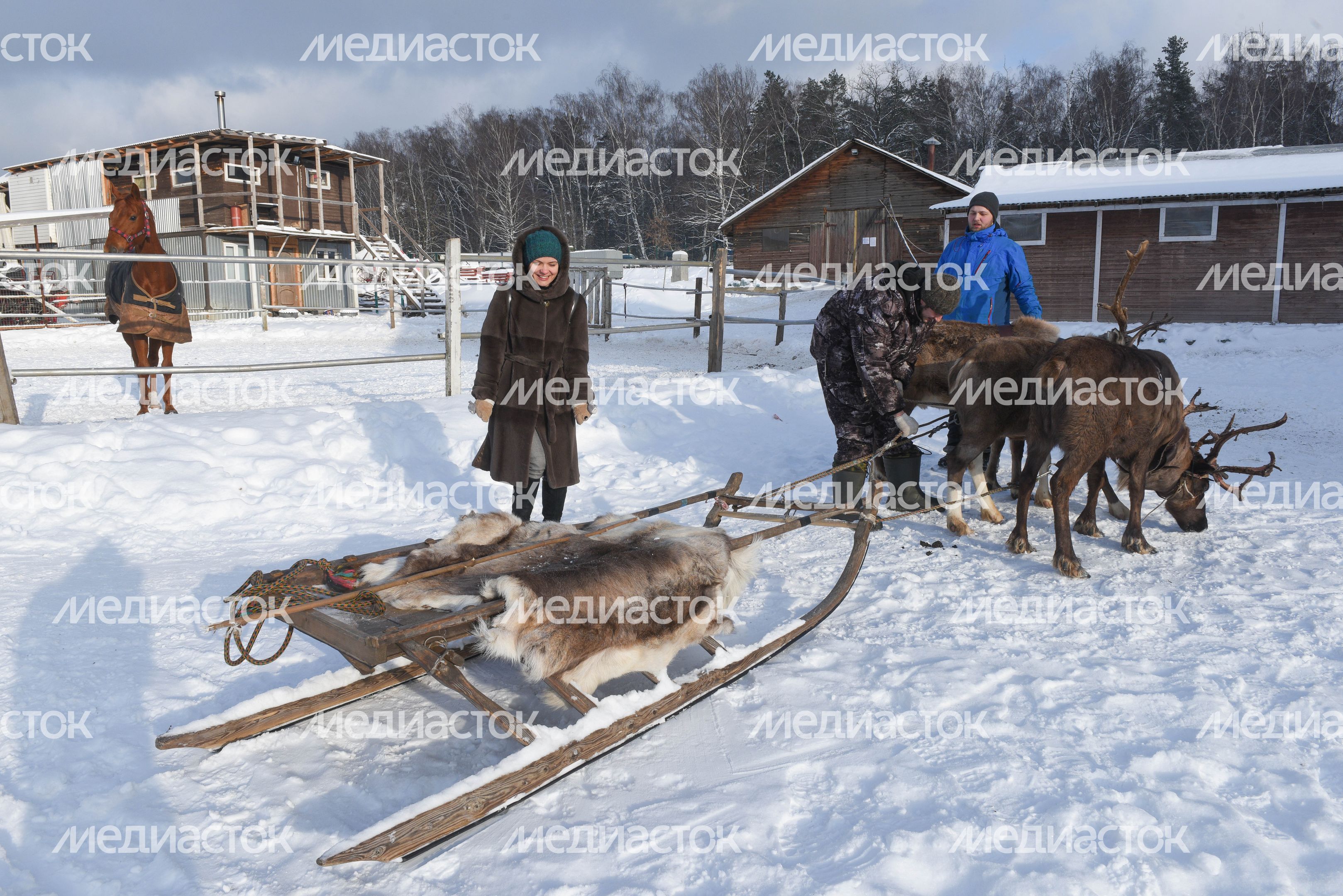 Оленья ферма в Дзержинском