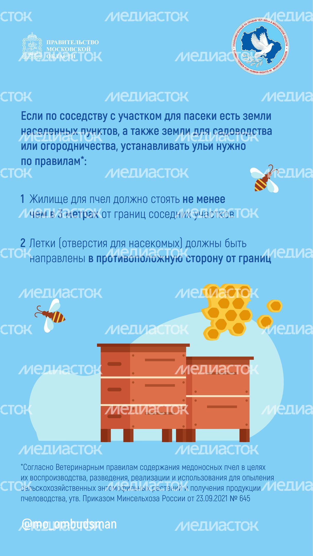 Вертикаль Вопрос-ответ. Пчеловодство-03.jpg
