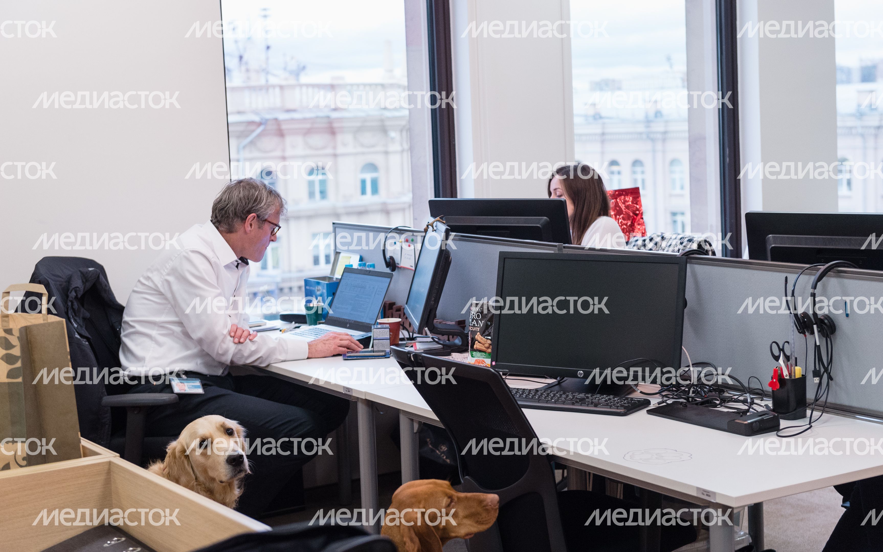 Pet‑friendly офис Purina