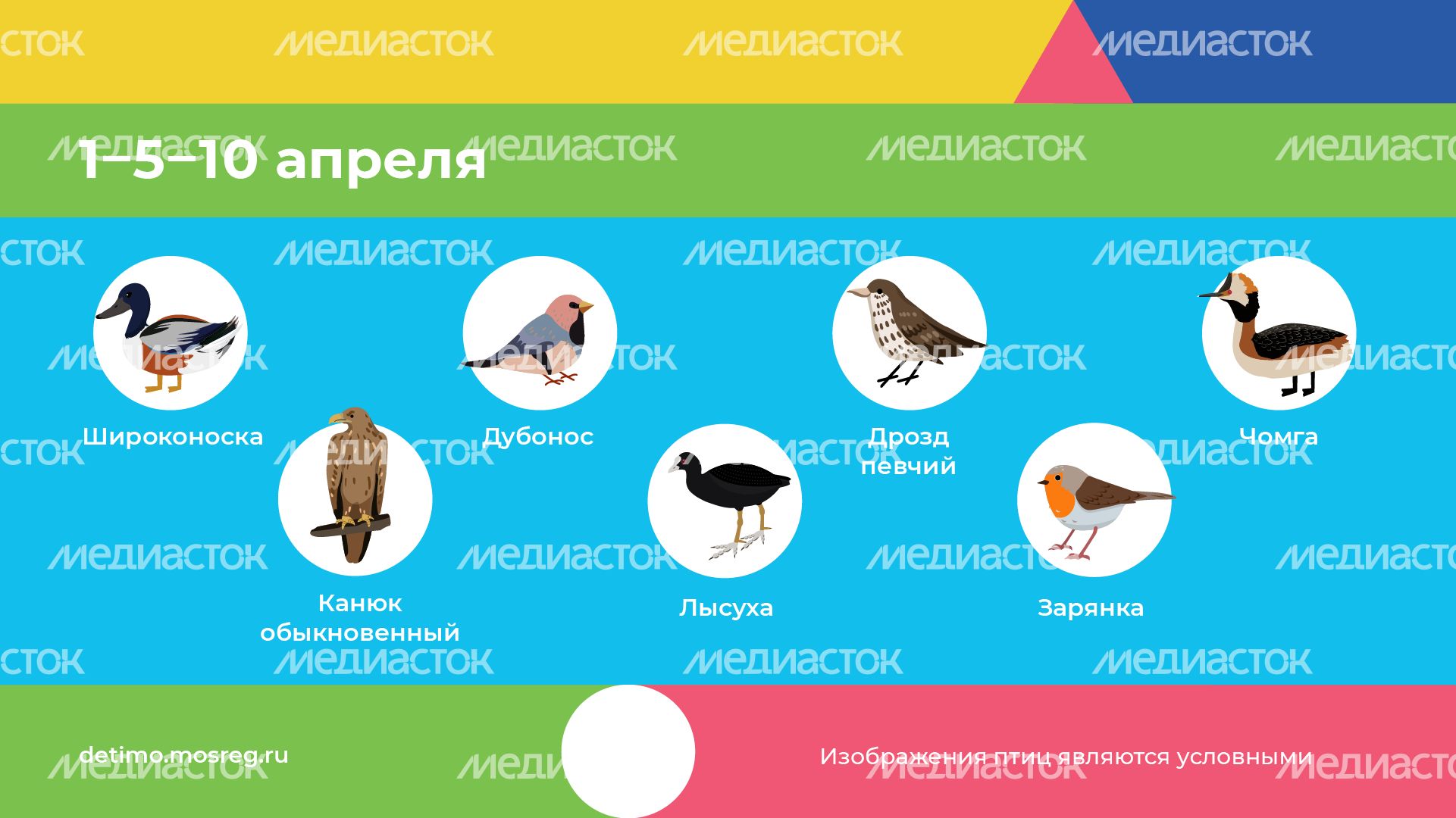 весна летит - горизонталь - 05