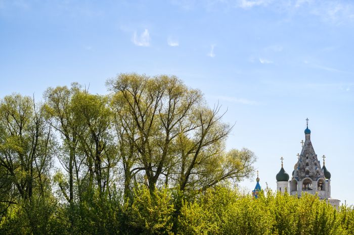 Коломенский полумарафон "Летопись Победы - 2025"