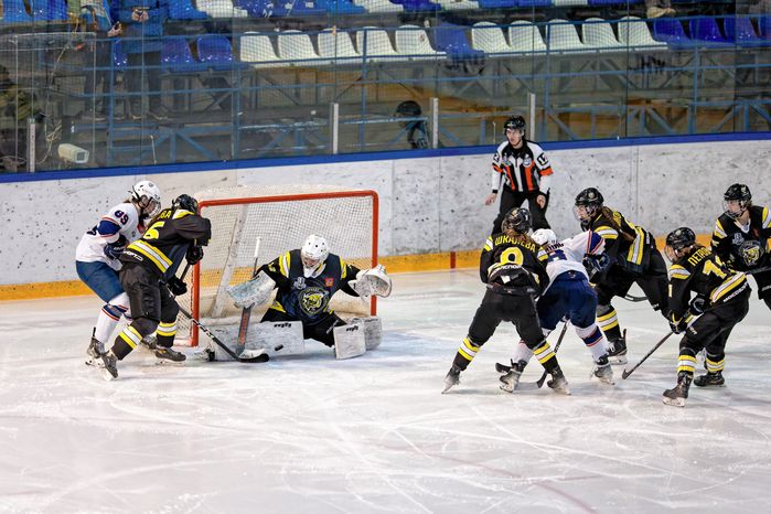 Матч женской хоккейной лиги за выход в полуфинал в Дмитрове