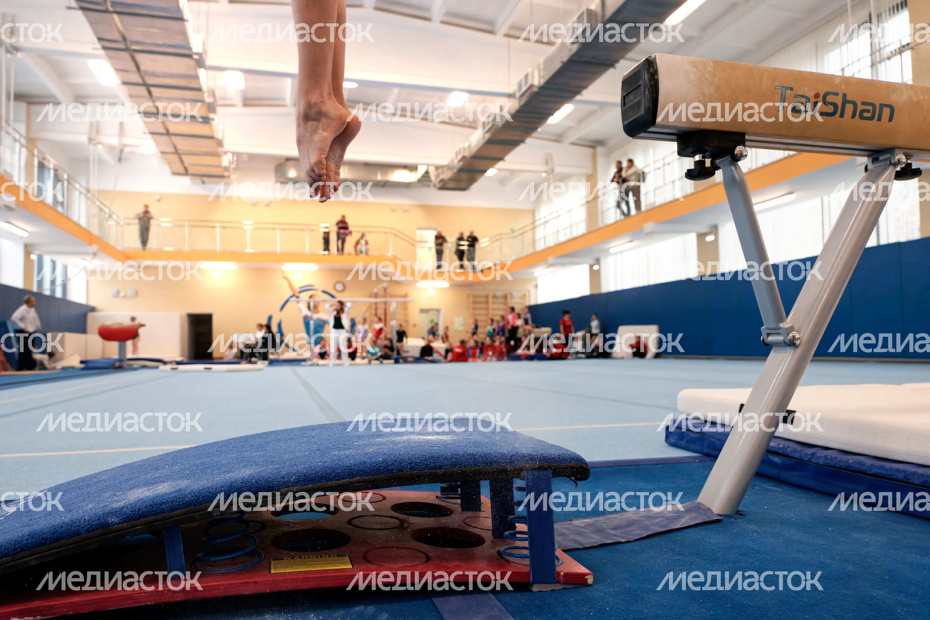 Чемпионат Московской области по спортивной гимнастике в Наро-Фоминске Чемпионат Московской области по спортивной гимнастике в Наро-Фоминске