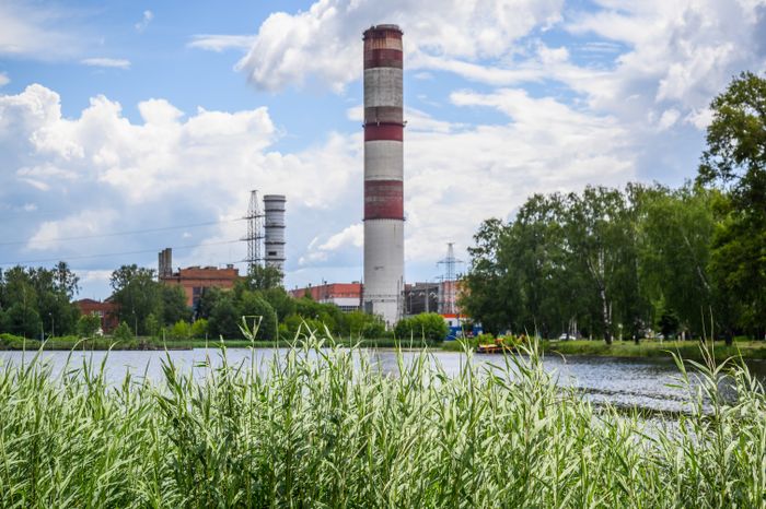 Скульптурная группа «Семья лосей» на улице Калинина города Электрогорск