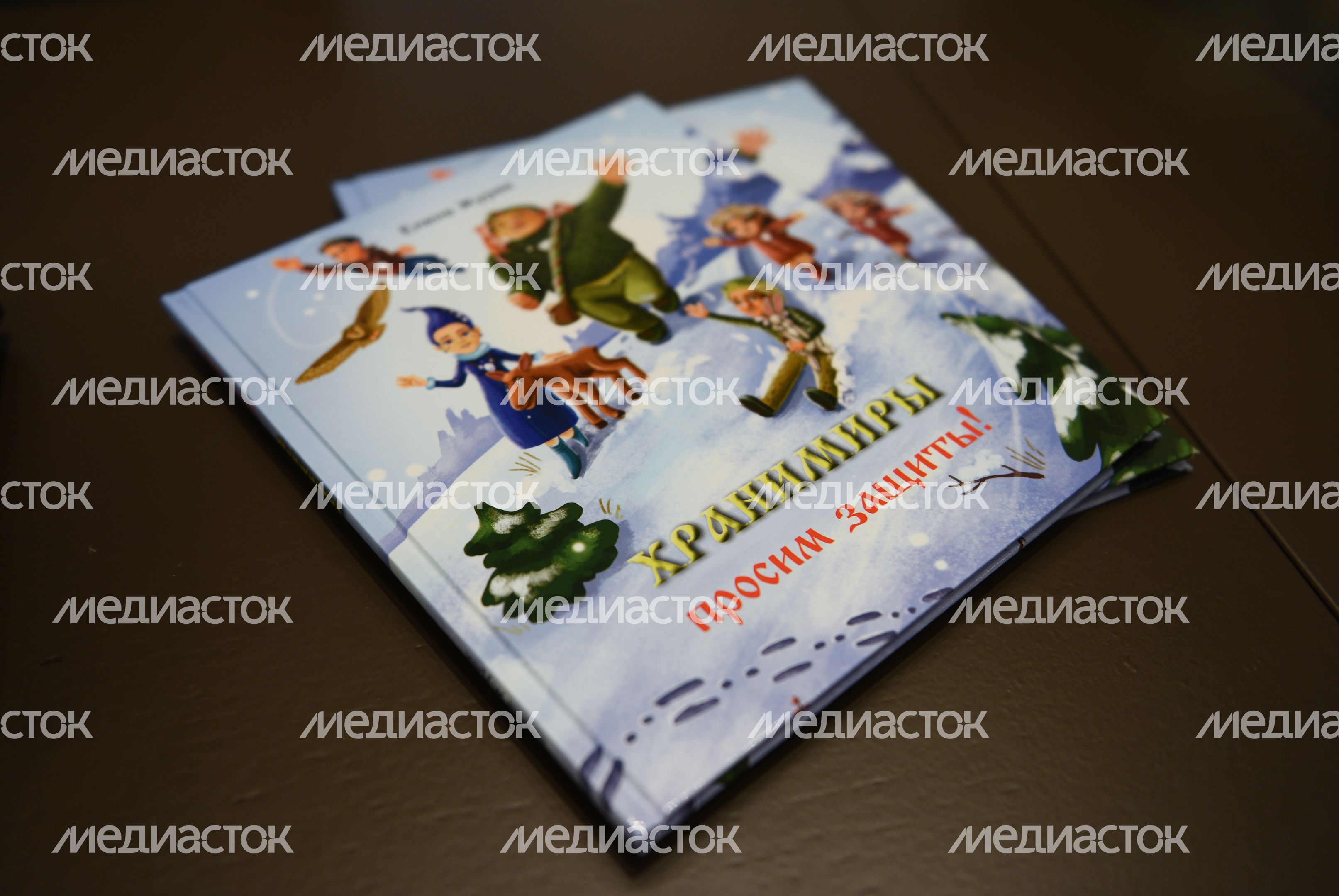Пресс-конференция автора книг экологического фэнтези «Хранимиры»