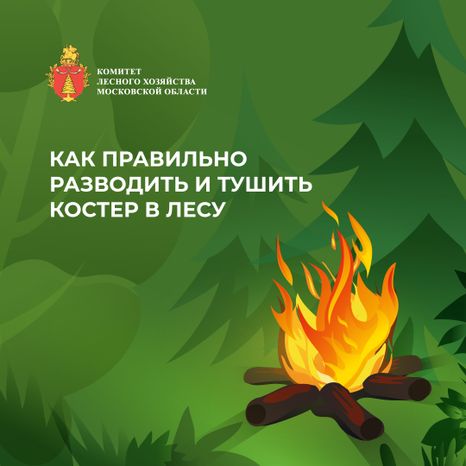 комлесхоз_костер_кв_1.jpg