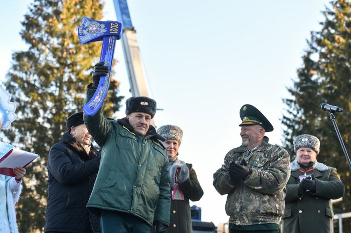 Сруб главной новогодней ели страны в Наро-Фоминском округе Подмосковья