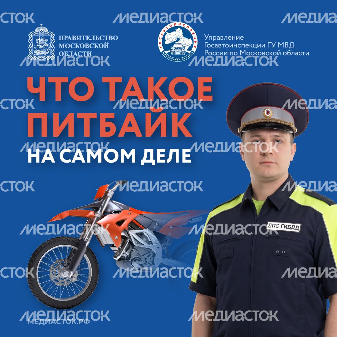 Что такое питбайк квадрат 01 Что такое питбайк квадрат 01