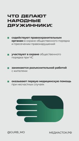 Народные дружины вертикаль 04