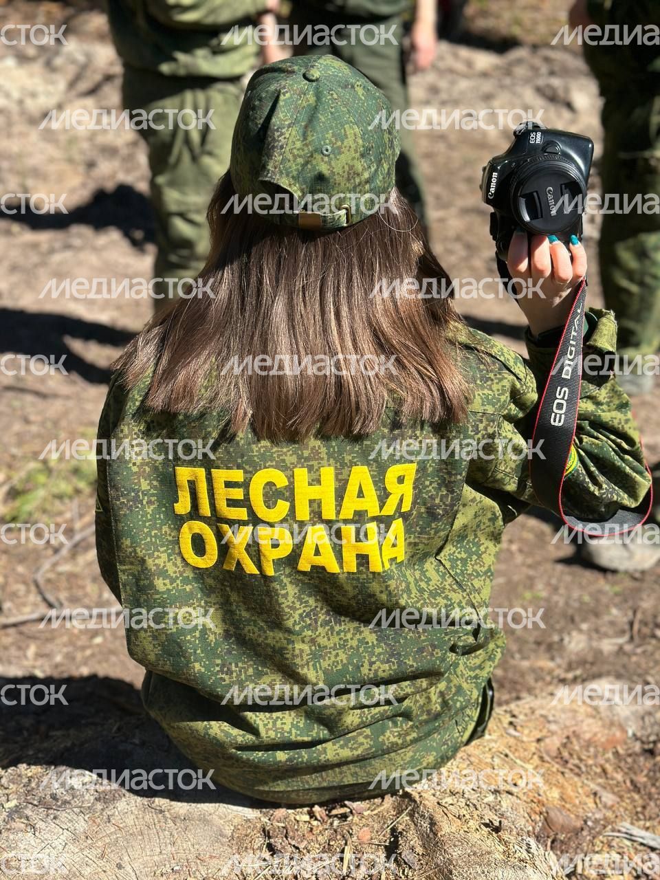 Настроение "Лес Будущего"-2024