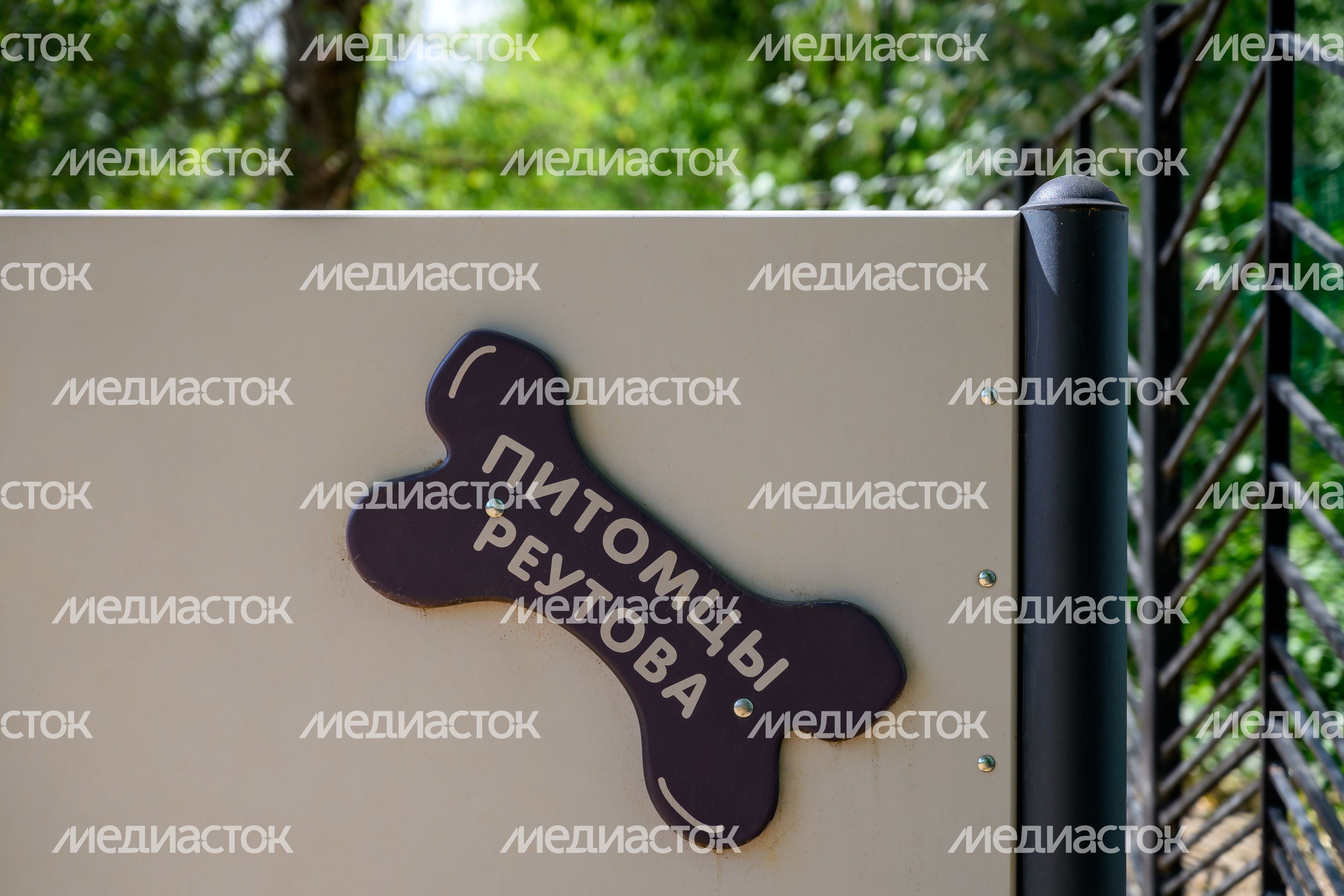 Площадка для выгула собак на улице Дзержинского в Реутове