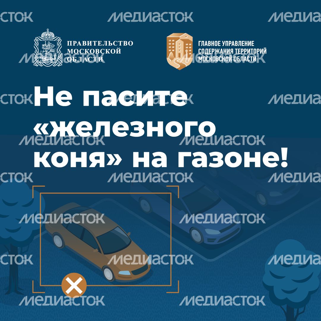 квадраты не паркуйтесь на газоне 01.png