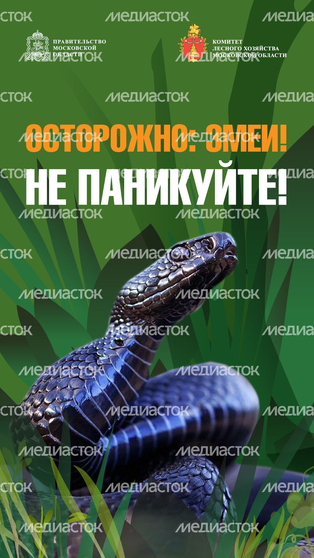комлесхоз_змеи_верт_1