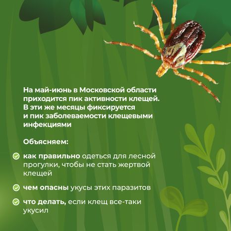 комлесхоз_клещи_кв_2