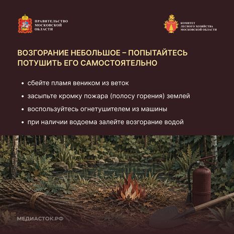 Живете рядом с лесом квадрат 09