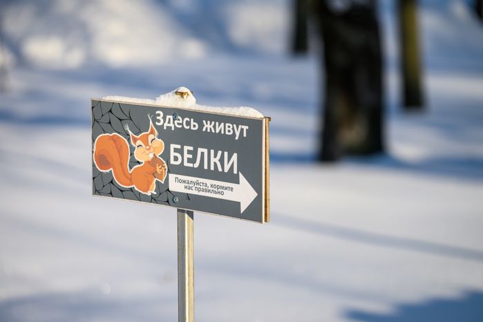 Люберецкий центральный парк культуры и отдыха зимой