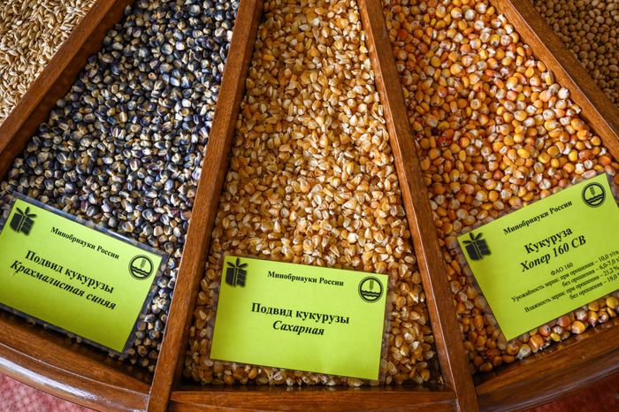 Научно-практический форум "Агрополигон-2024" в Домодедово