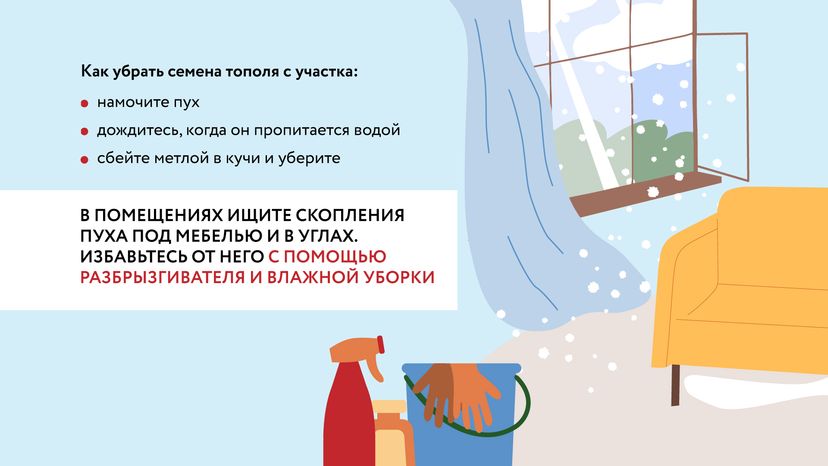 Тополиный пух