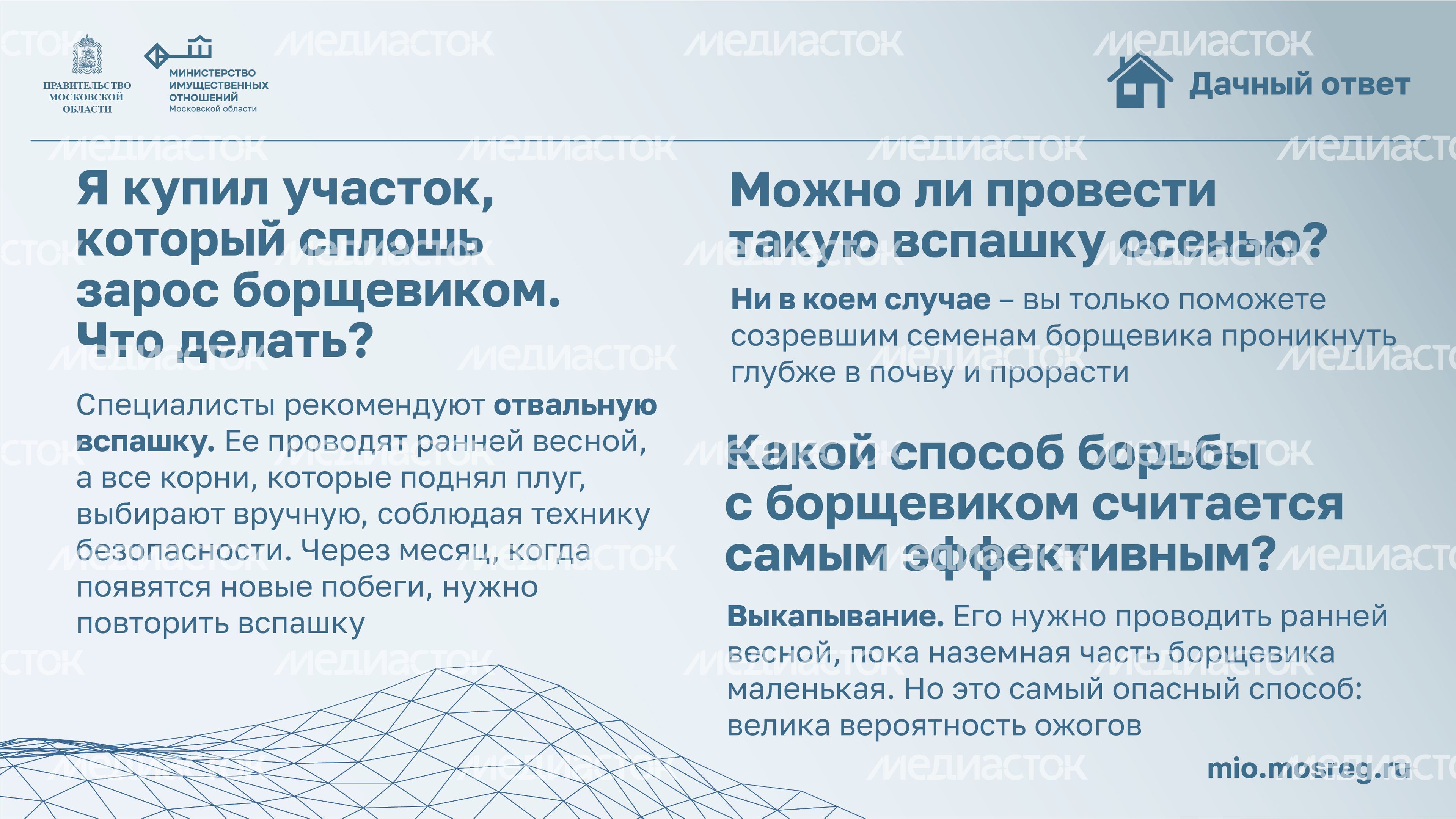 Дачный ответ_борщевик-12.jpg