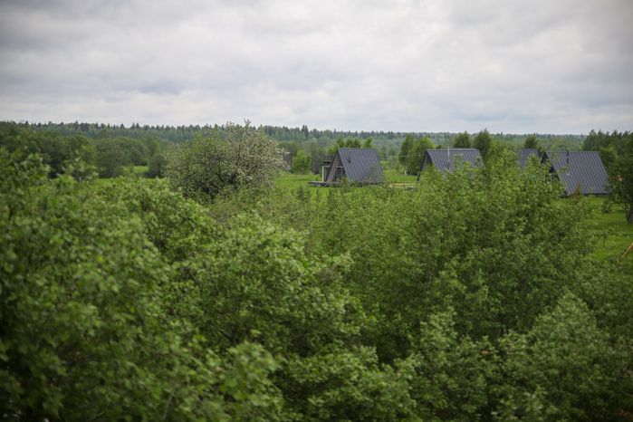 Дмитровский горокруг. Глэмпинг Вуди Виллаж