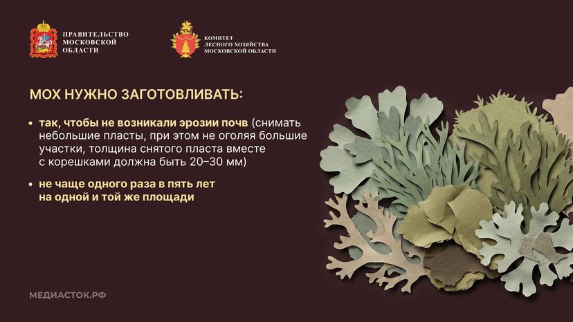 Недревесные ресурсы для собственных нужд Горизонталь 09