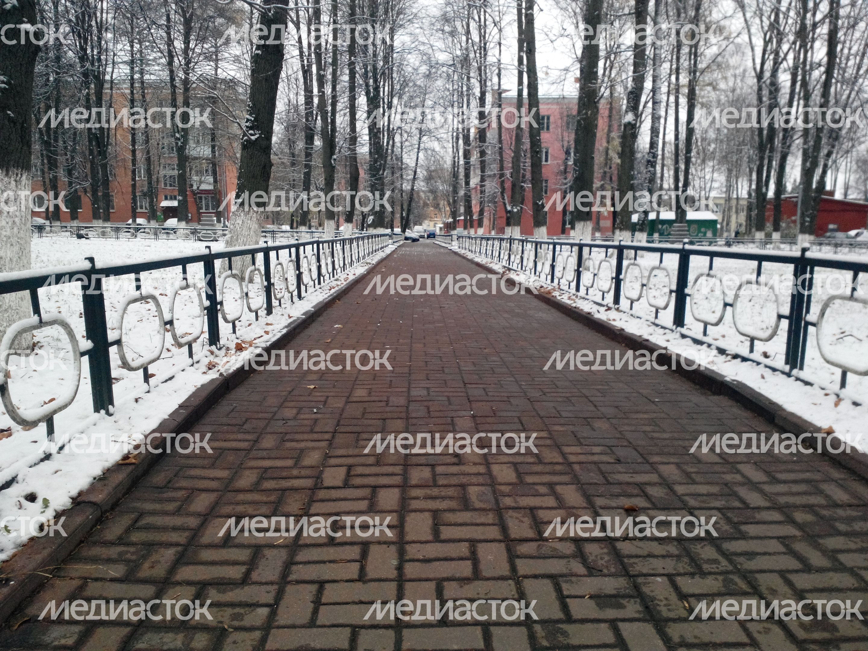 Первый снег в Клину