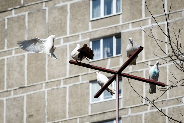 Голубятня в Москве