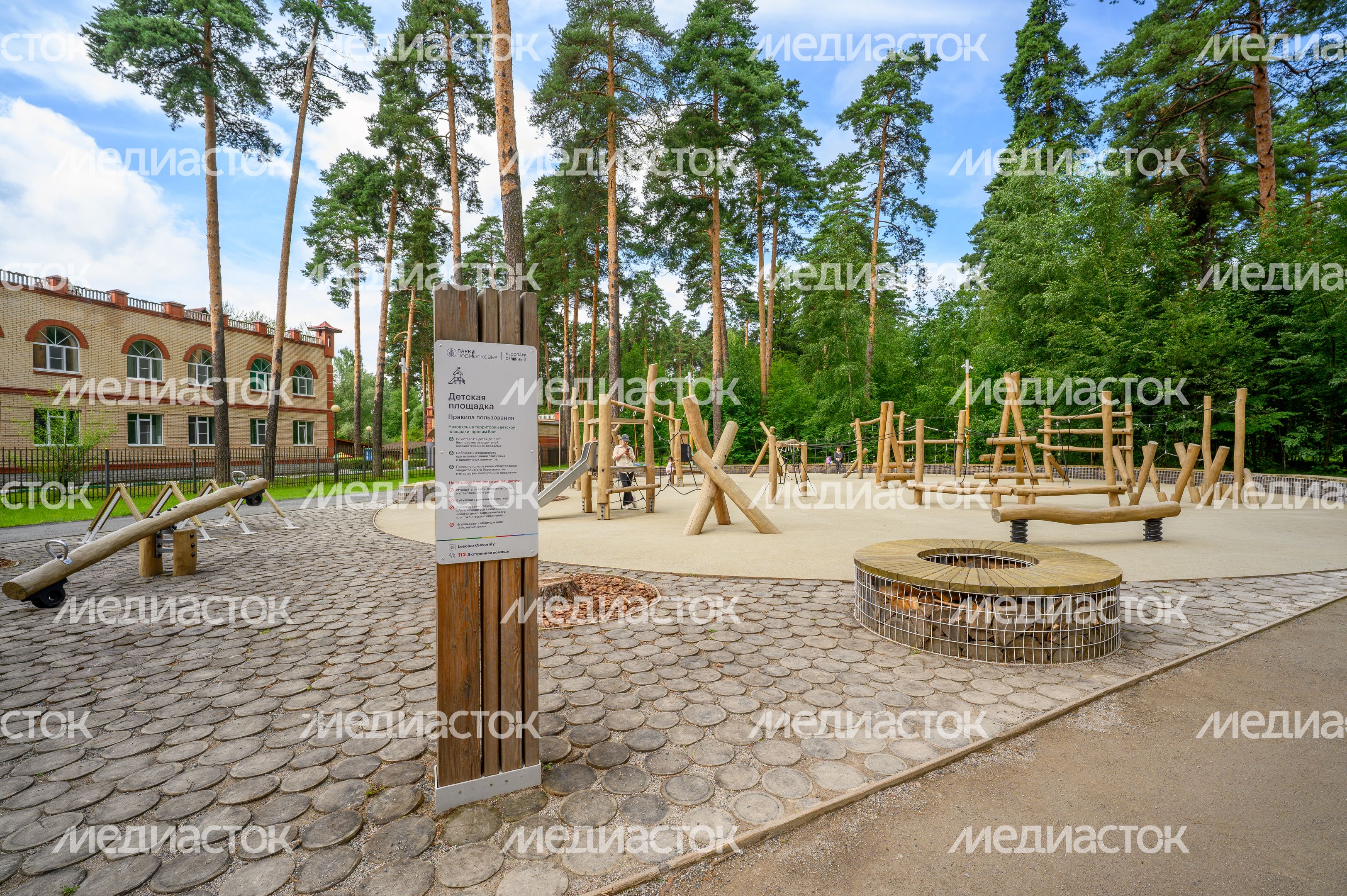 Лесопарк «Северный» в Пушкино летом