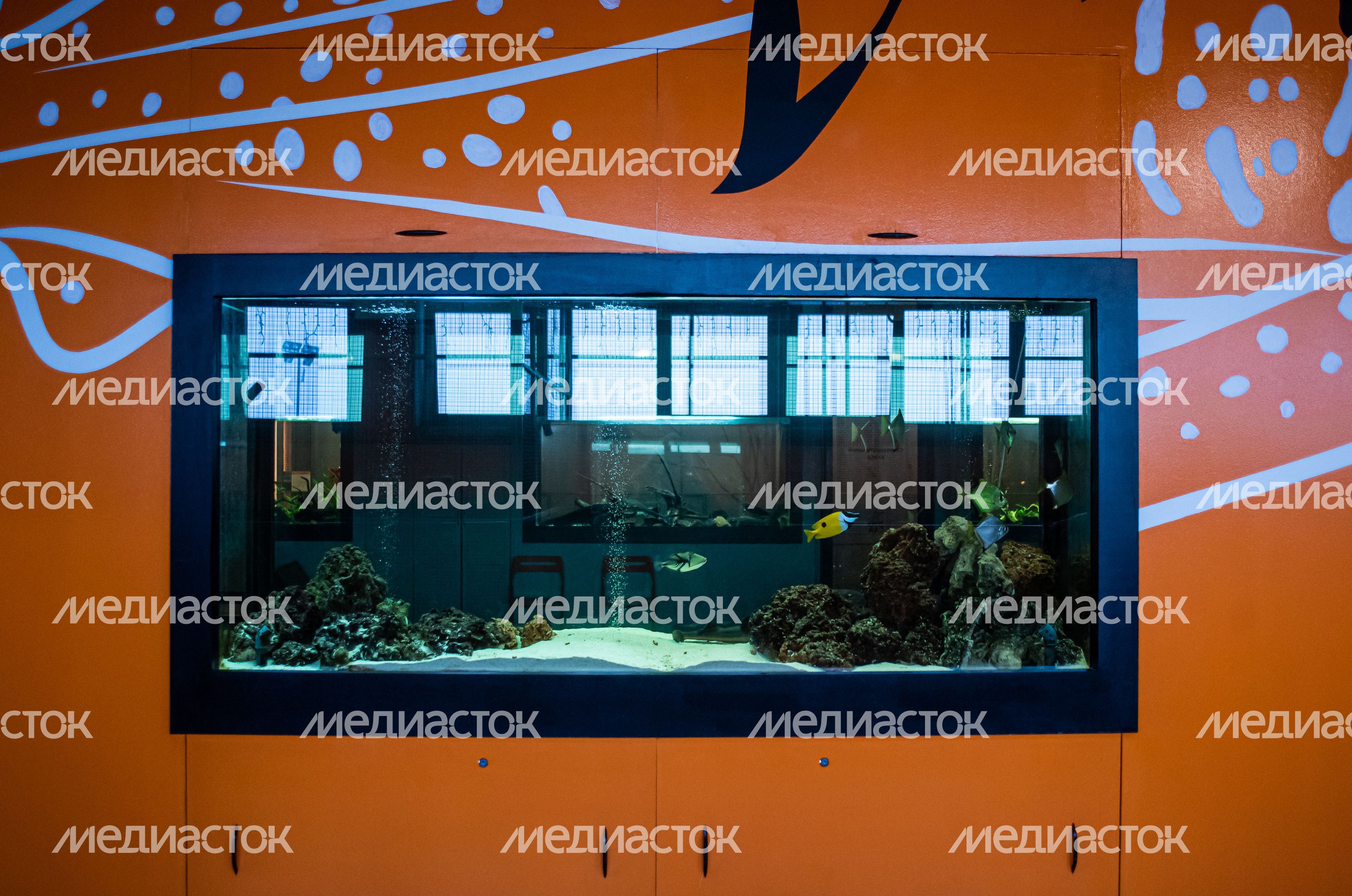 ЗооСад Конноспортивного комплекса «Дивный»