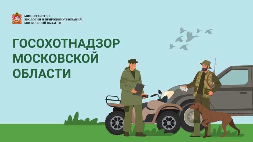 Обложки
